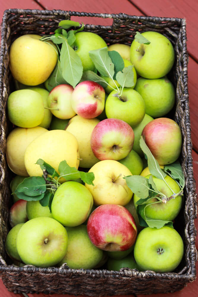 Apple Upside-Down Cake - delicious caramelized golden apples baked atop of fluffy and airy cake. Quick and easy fall cake! | littlebroken.com @littlebroken #cake #apples #recipe