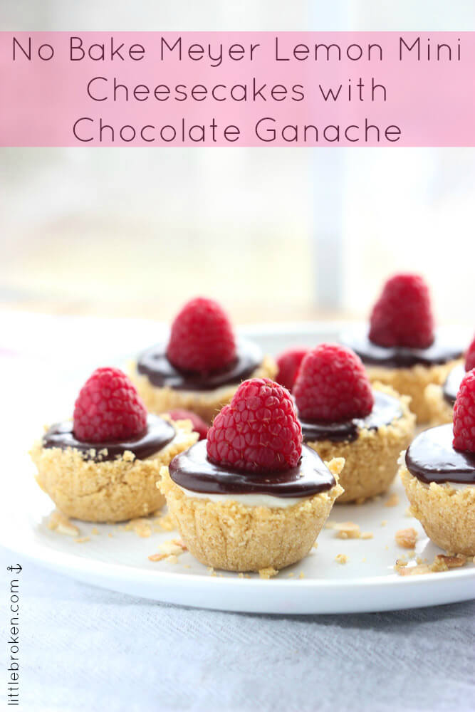 https://www.littlebroken.com/wp-content/uploads/2015/02/No-Bake-Meyer-Lemon-Mini-Cheesecake-with-Chocolate-GanacheCLG-9.jpg