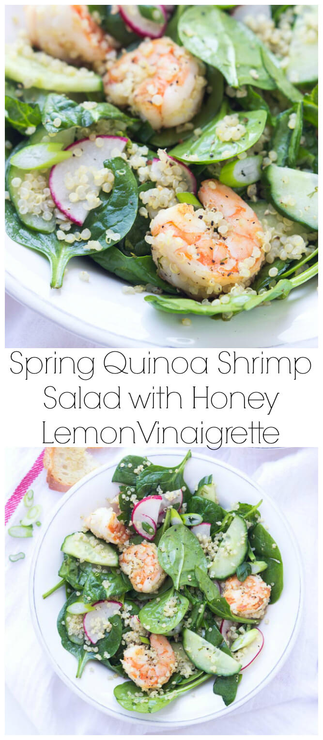Spinach, cucumbers, radishes with sauteed shrimp, tossed in the BEST zesty Honey Lemon Vinaigrette | littlebroken.com