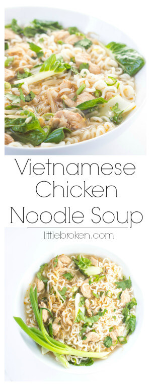 Vietnamese Chicken Noodle Soup - Little Broken