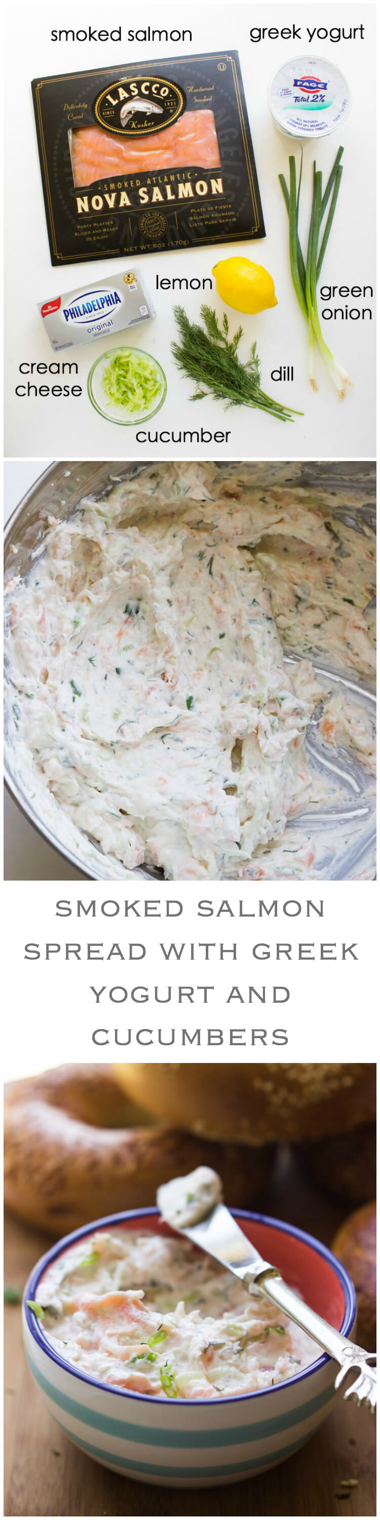 Smoked Salmon Spread with Greek Yogurt and Cucumbers Little Broken