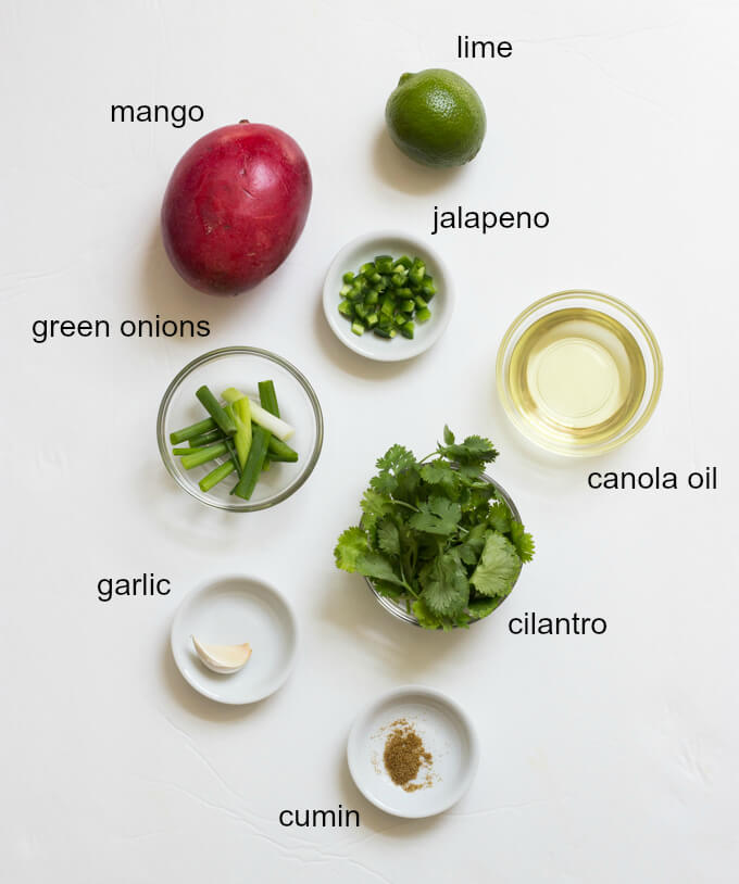 Mango Cilantro Dressing - vibrant, tangy, and little spicy salad dressing that is so good over spicy anything! | littlebroken.com @littlebroken