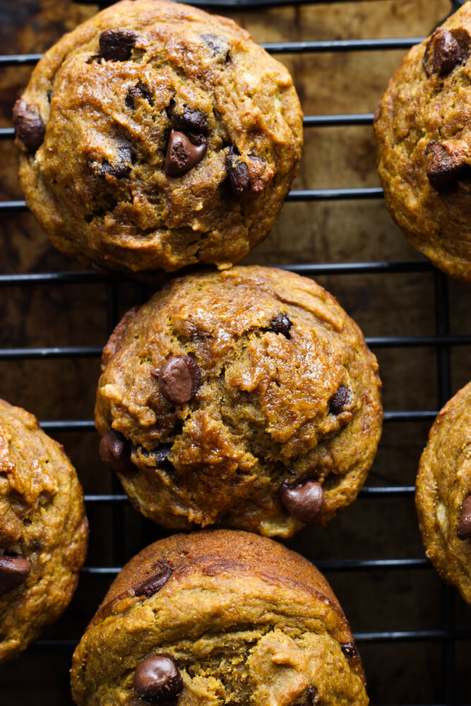 Healthy Chocolate Chip Pumpkin Muffins - made with coconut oil, white whole wheat flour, and sweetened with honey. These are by far the BEST healthy pumpkin muffins | littlebroken.com @littlebroken