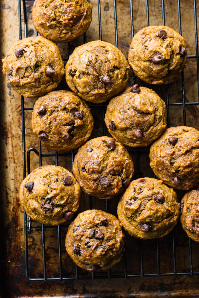 Healthy Chocolate Chip Pumpkin Muffins - made with coconut oil, white whole wheat flour, and sweetened with honey. These are by far the BEST healthy pumpkin muffins | littlebroken.com @littlebroken