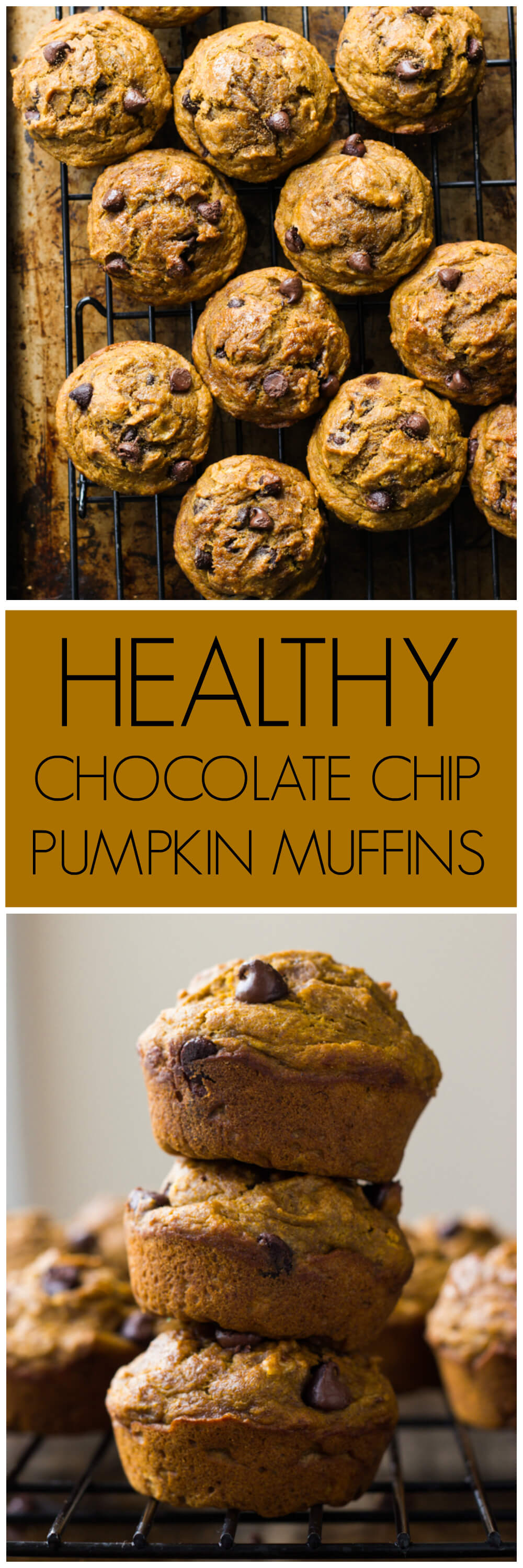 Healthy Chocolate Chip Pumpkin Muffins Little Broken