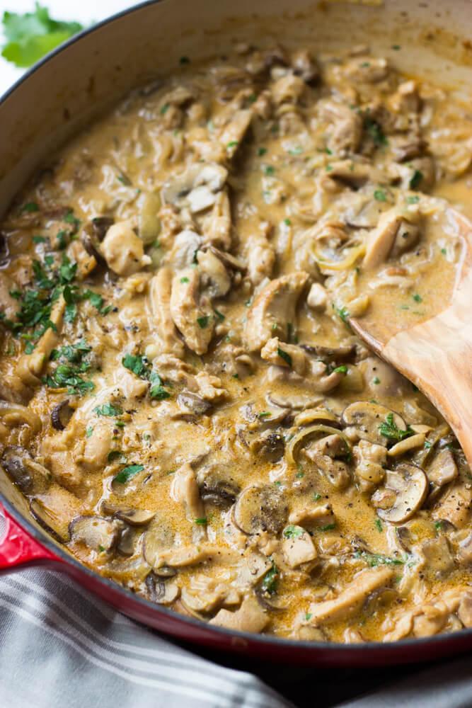 Close up side view of chicken stroganoff recipe 