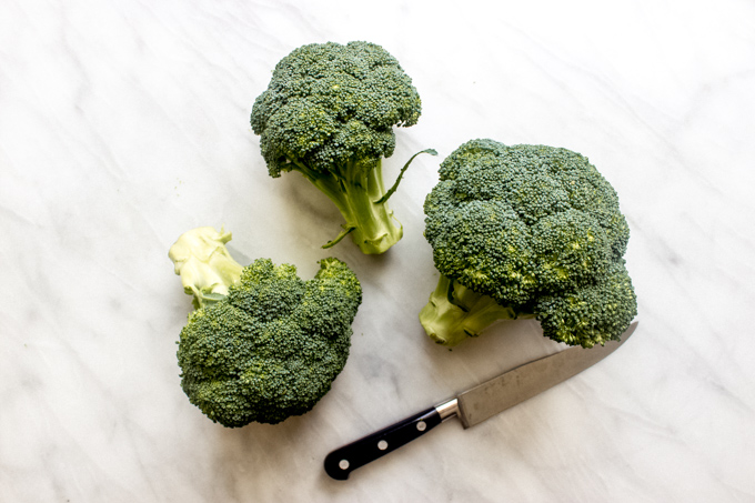 Raw broccoli on white board