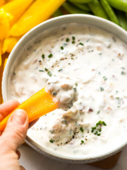 yogurt onion dip