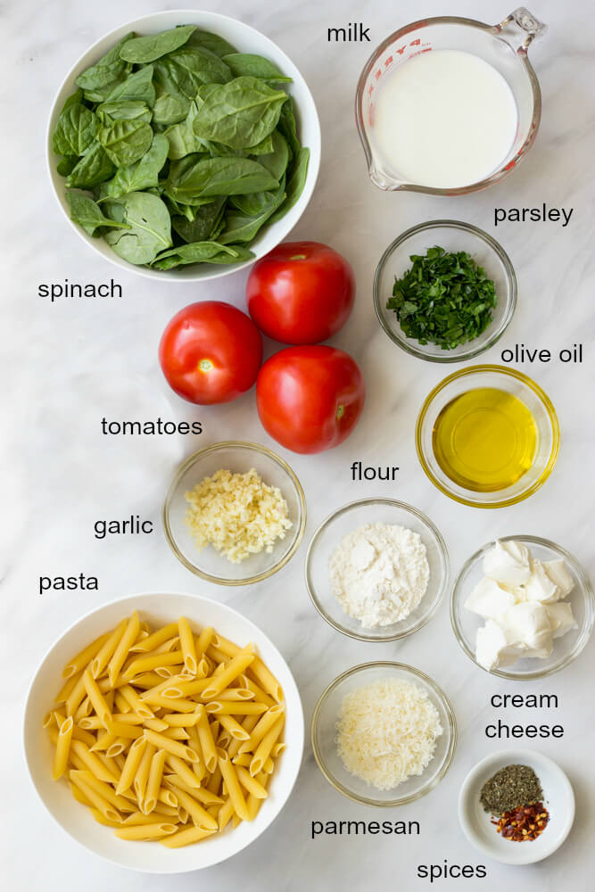 ingredients for cream sauce pasta with milk