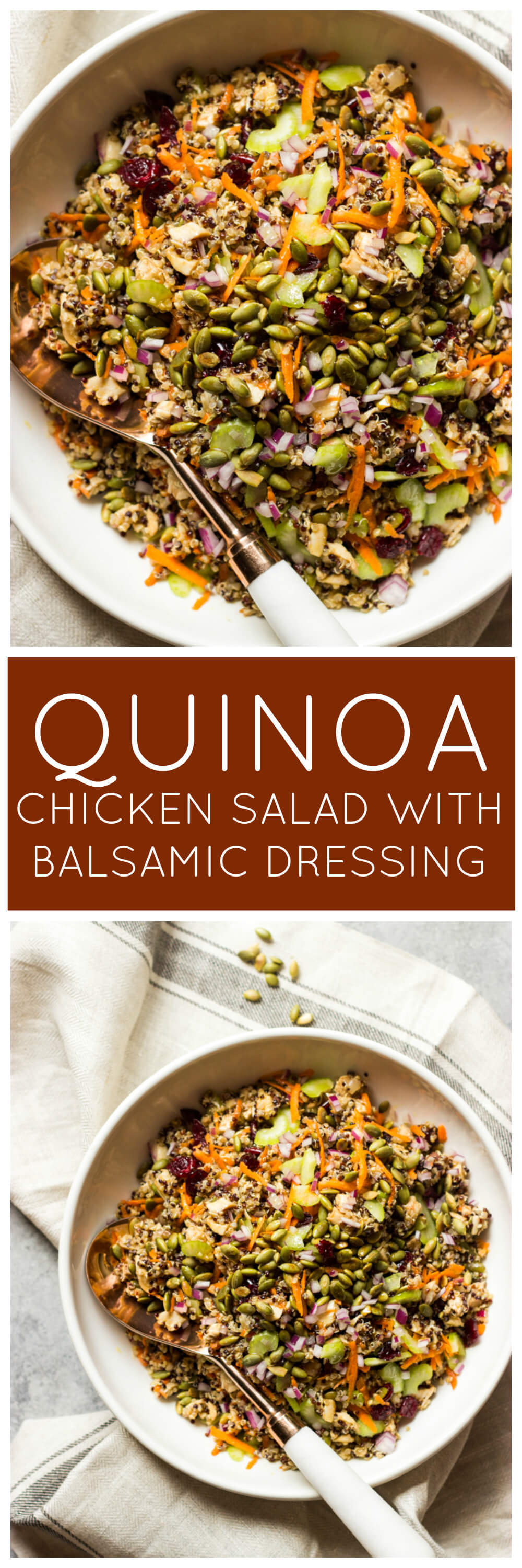 Chicken Quinoa Salad with Balsamic Dressing - ultimate fall salad with chicken, quinoa, crunchy veggies, cranberries, and pumpkin seeds | littlebroken.com @littlebroken