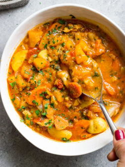 Overheat view of chicken stew in white bowl with spoon