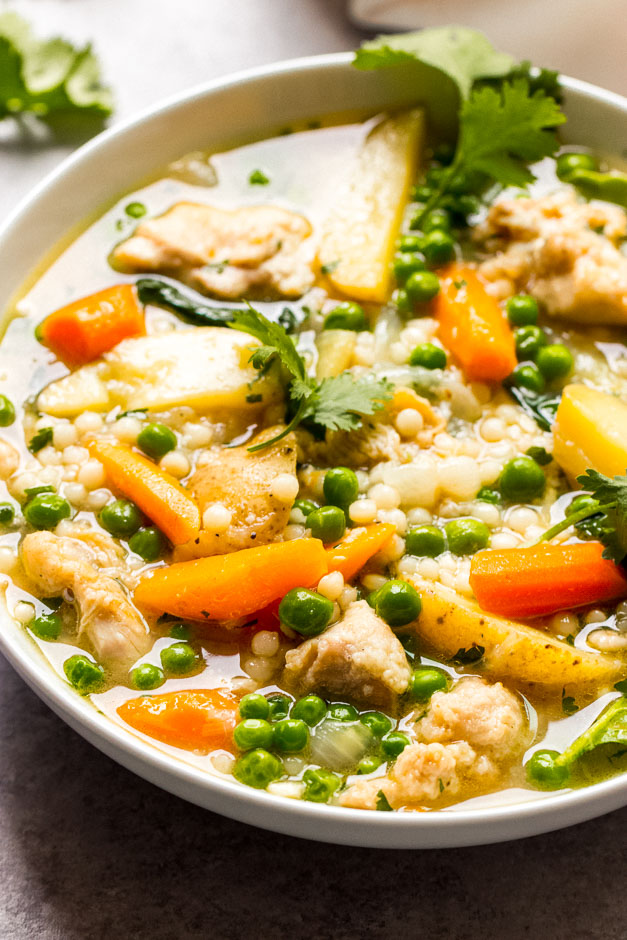 Easy Spring Chicken Vegetable Stew - Little Broken