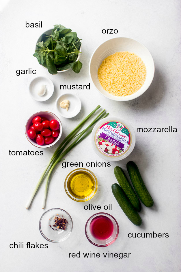 Ingredients for orzo pasta salad