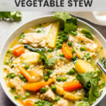 Close up spring vegetable stew with chicken in white bowl