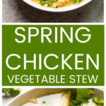 Vertical image chicken vegetable stew in white bowl
