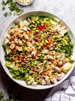 overhead panera thai chicken salad