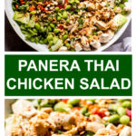 spicy chicken salad with thai flavors