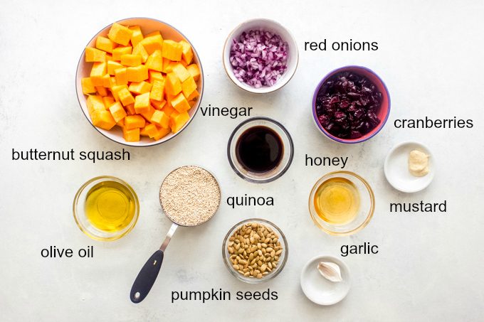 ingredients for butternut squash salad with cranberries.