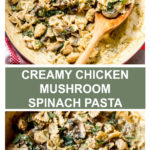 chicken mushroom spinach pasta