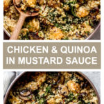 creamy chicken with quinoa in mustard sauce
