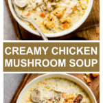 chicken and mushroom soup in white bowl
