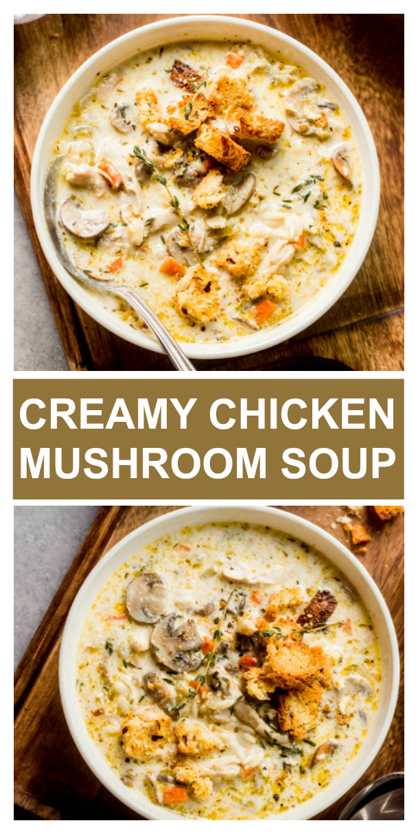 Top 10+ Creamy Chicken Mushroom Soup
