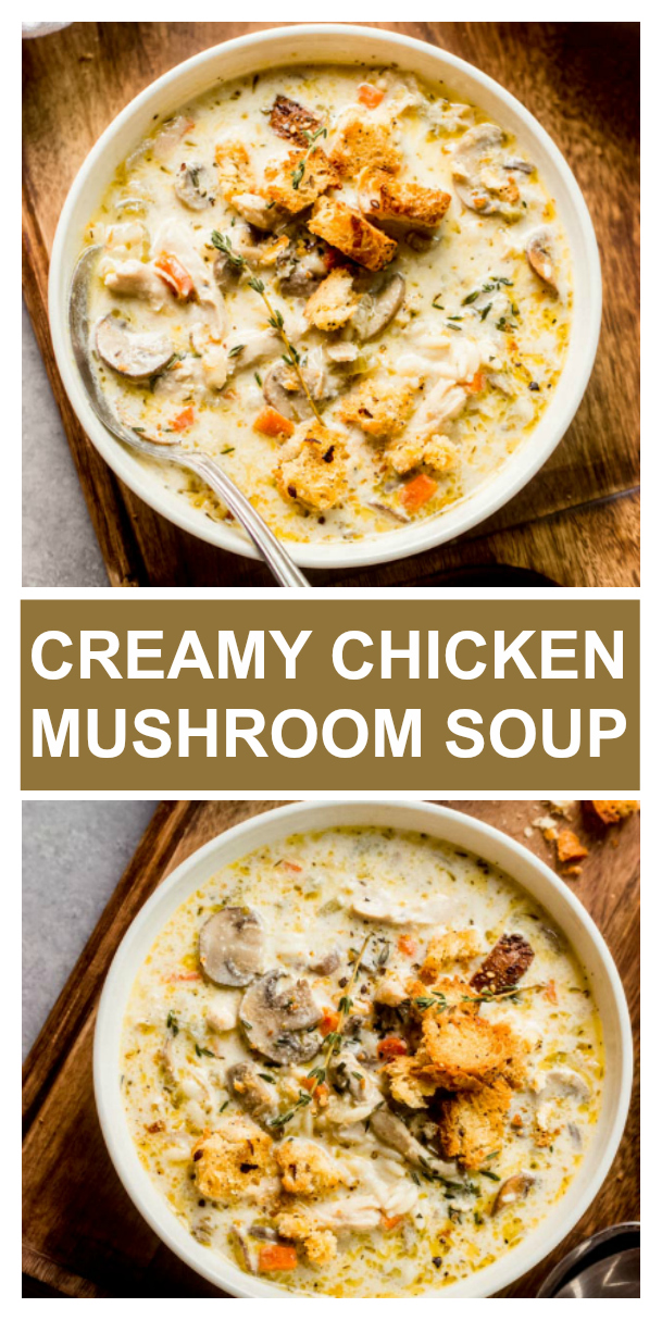 Coziest Creamy Chicken and Mushroom Soup - Little Broken
