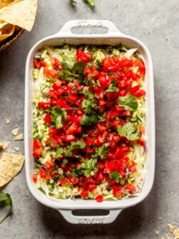 overhead vegetarian 7 layer dip