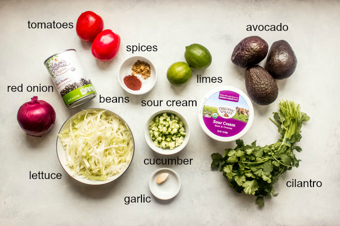 ingredients for healthy 7 layer dip recipe
