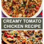 creamy tomato chicken recipe
