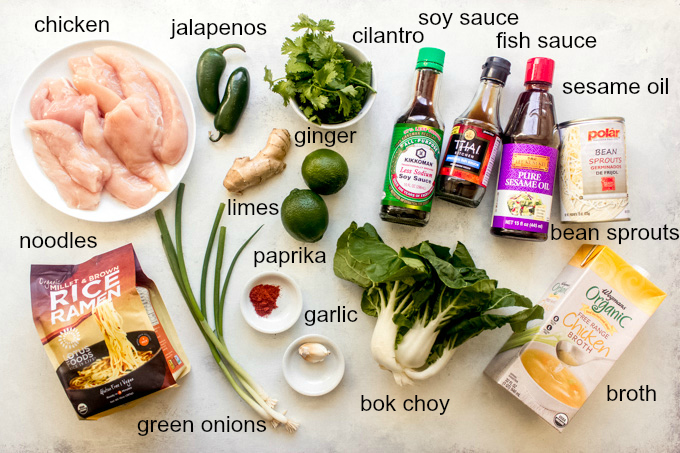 ingredients for vietnamese chicken noodle soup