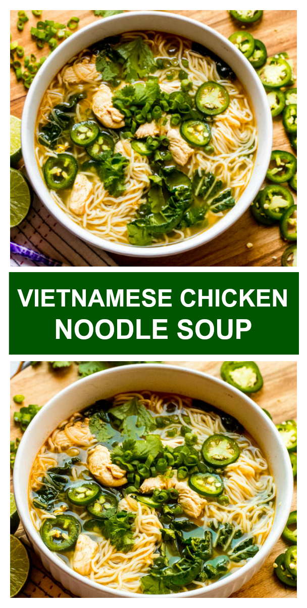 Vietnamese Chicken Noodle Soup (Easy Pho Soup) - Little Broken