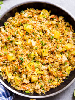 chicken and pineapple fried rice