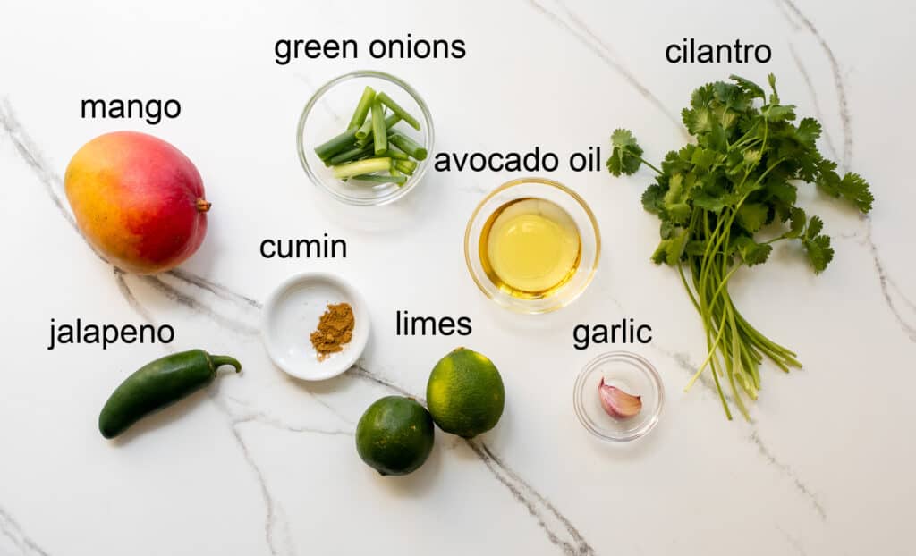 ingredients for mango salad dressing recipe