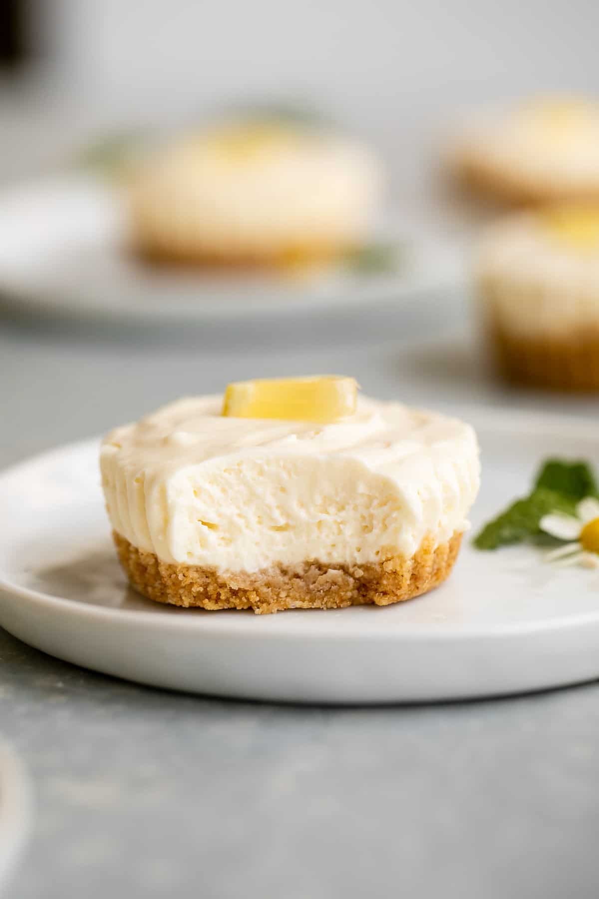 No-Bake Mini Lemon Cheesecake - Little Broken
