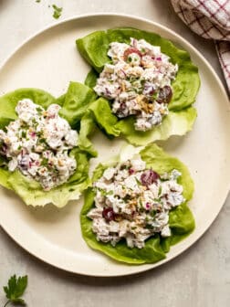 apple walnut chicken salad recipe