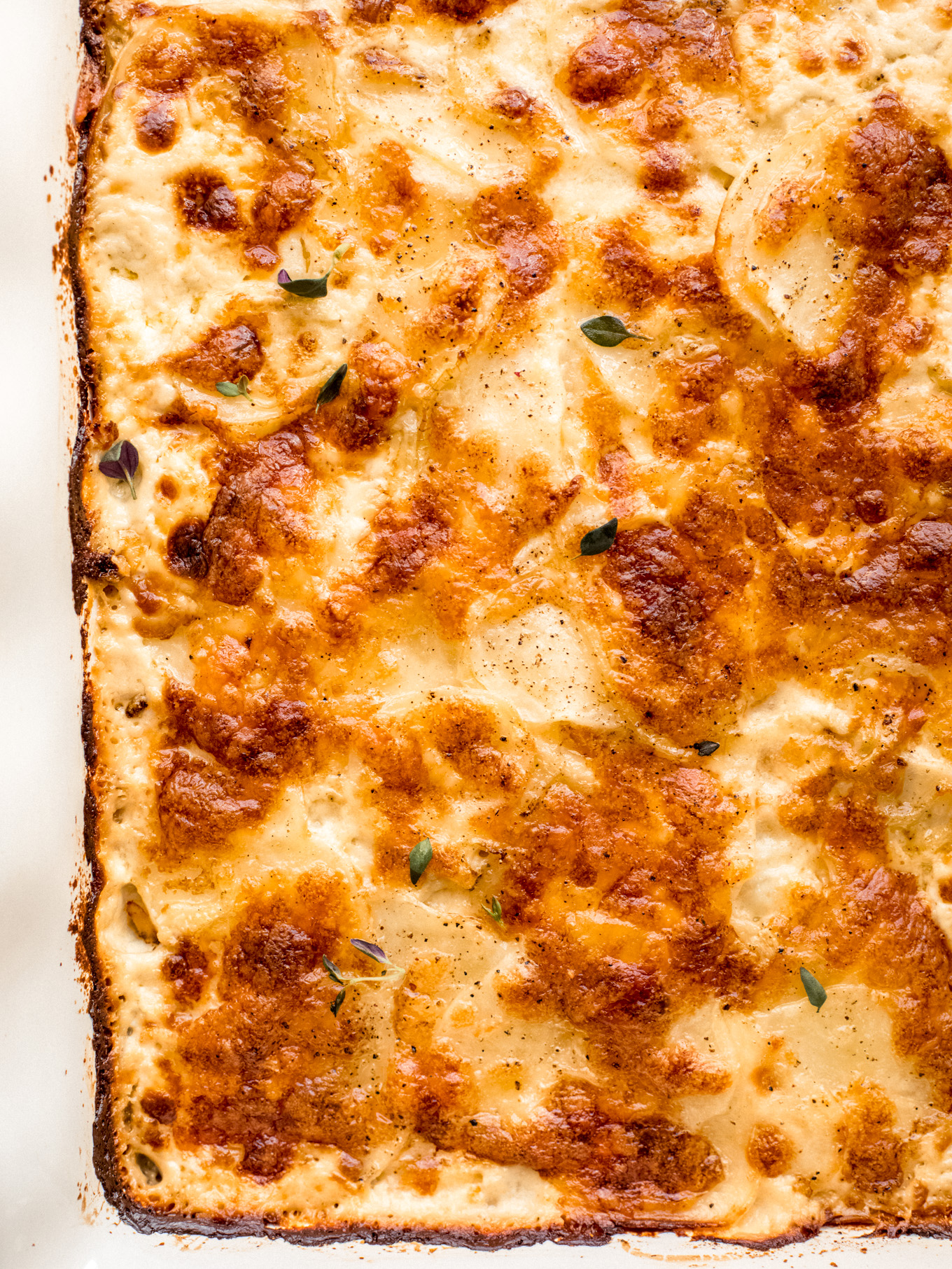 close up scalloped potatoes in casserole dish