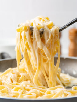 Alfredo sauce with fettuccine in a fork.