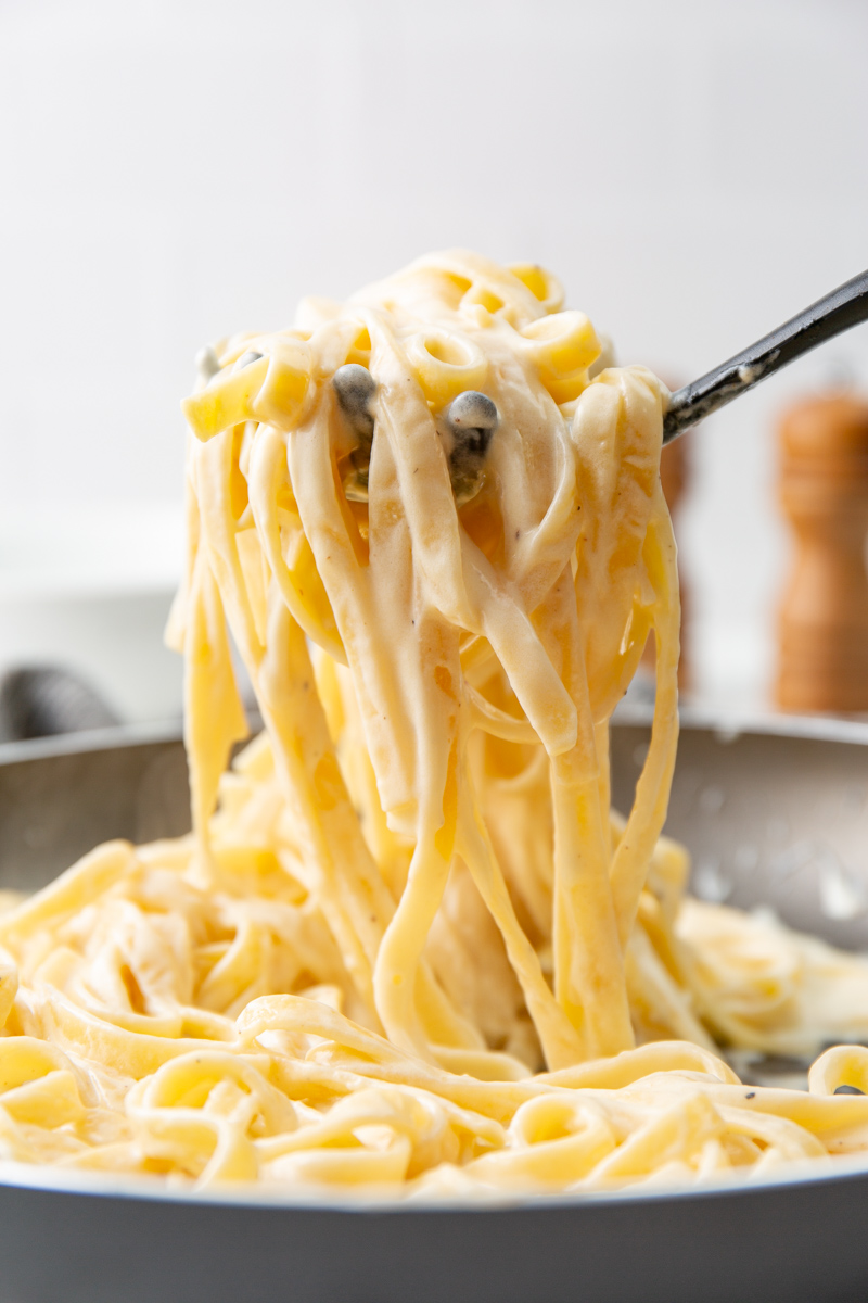 Alfredo sauce with fettuccine in a fork.