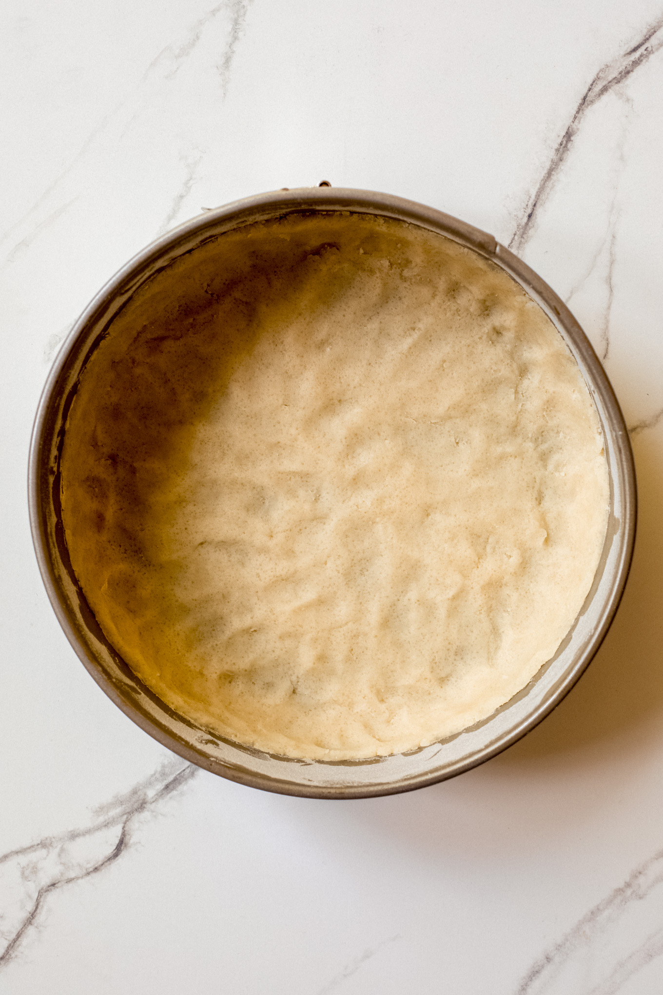 pressed dough into a springform pan.