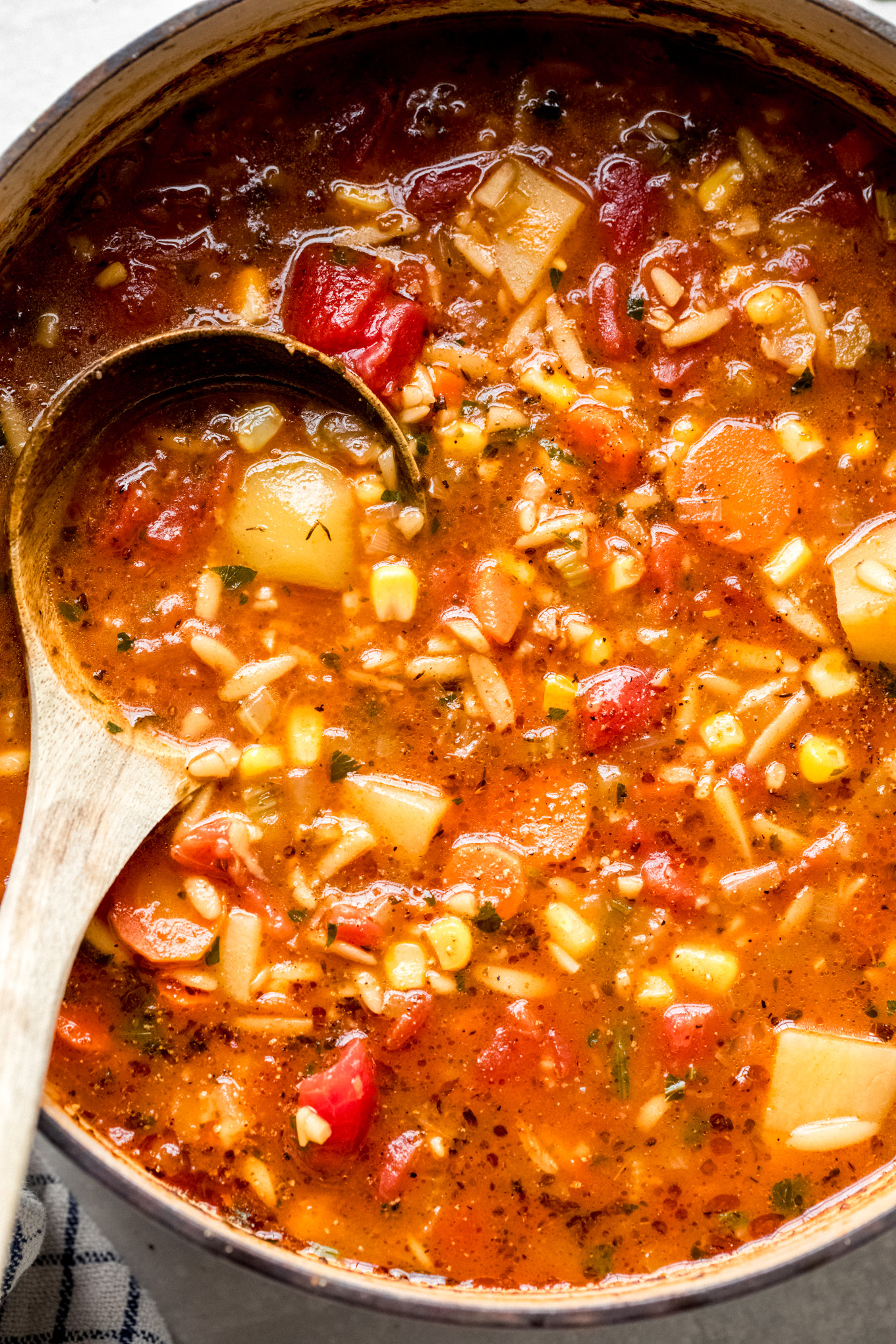 vegetable orzo soup in a dutch oven.