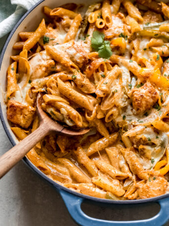 creamy pasta with chicken , garnished with cilantro.