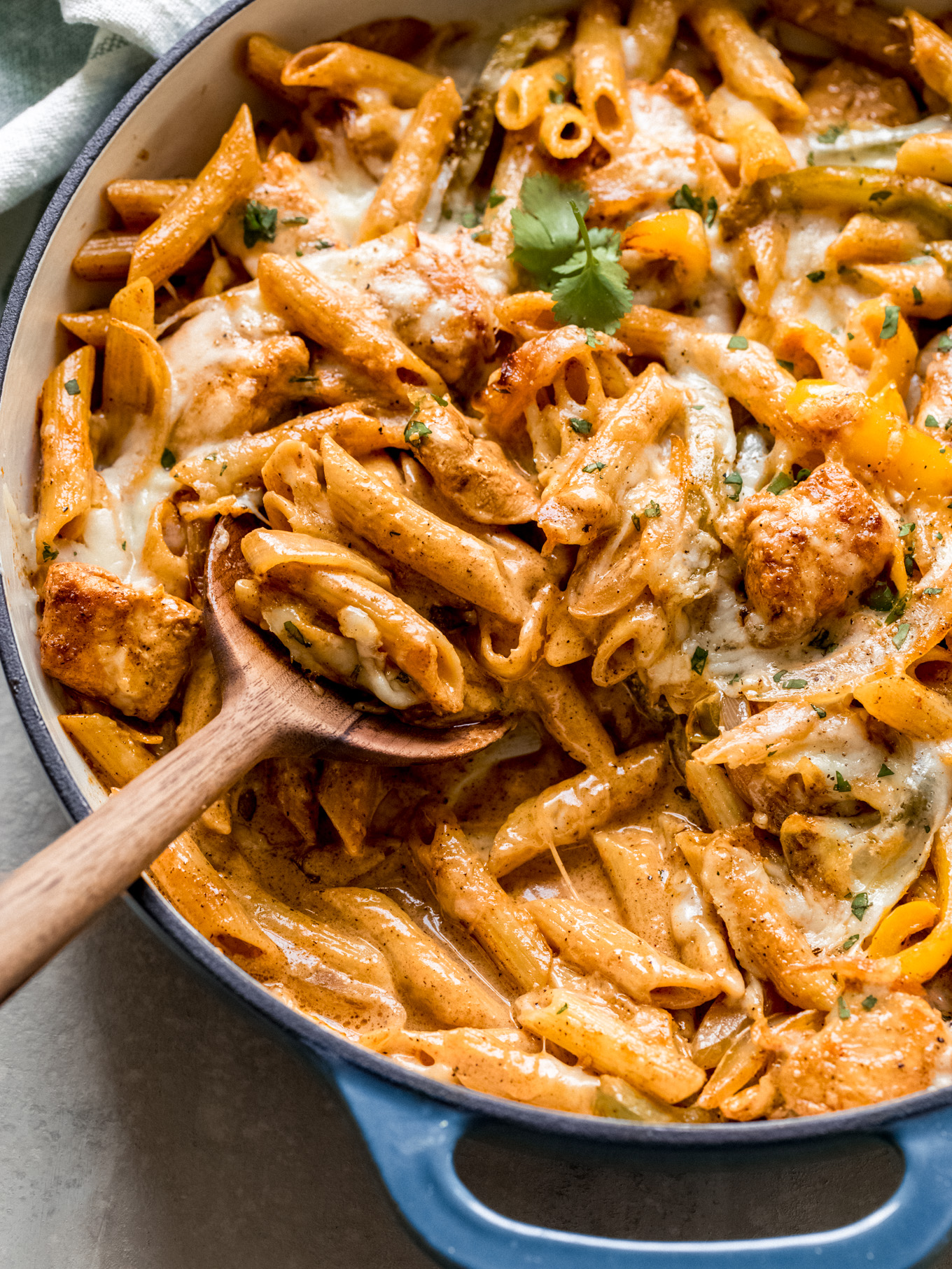 creamy pasta with chicken , garnished with cilantro. 