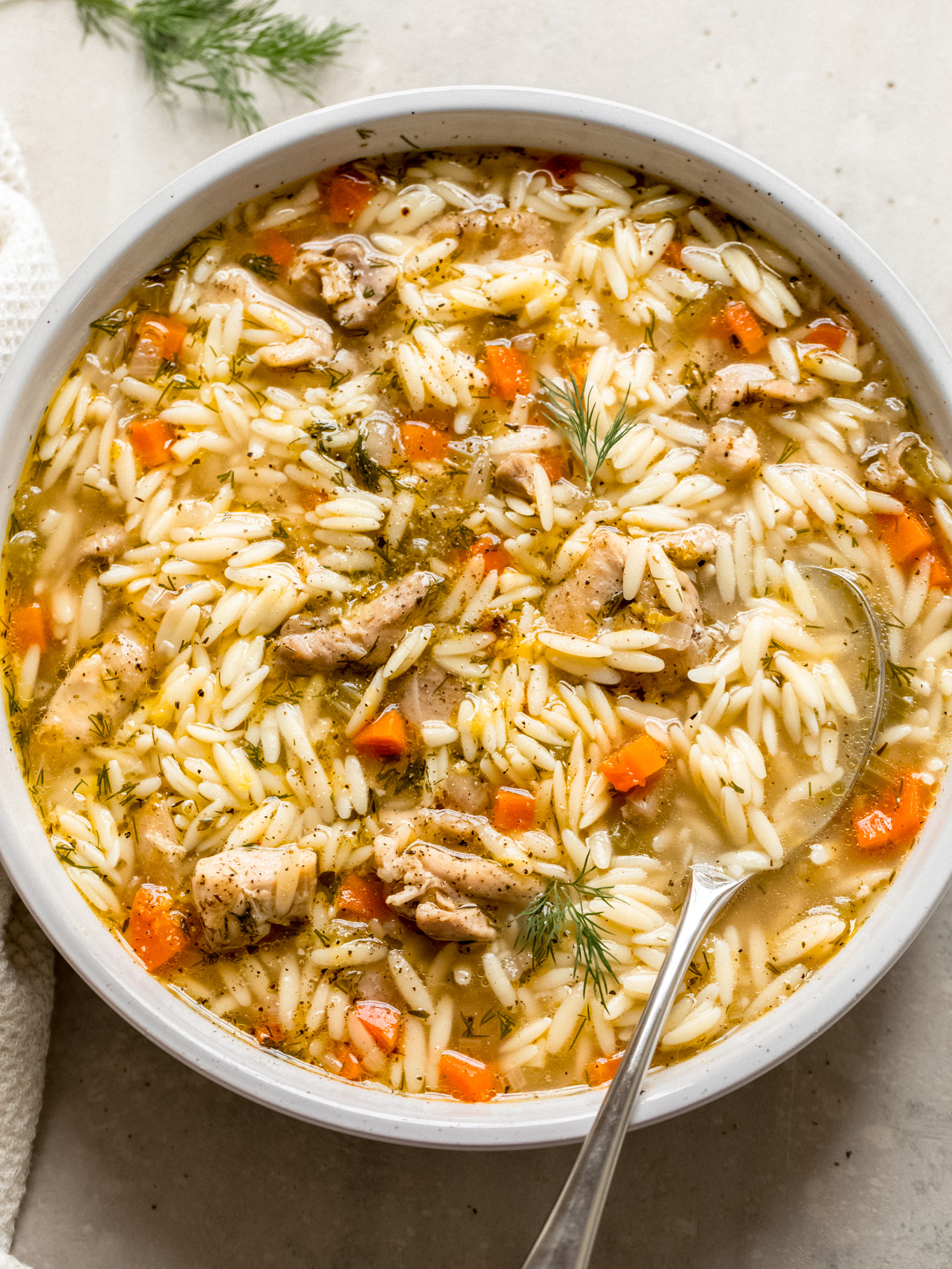 chicken orzo soup in a white bowl garnished with fresh dill.